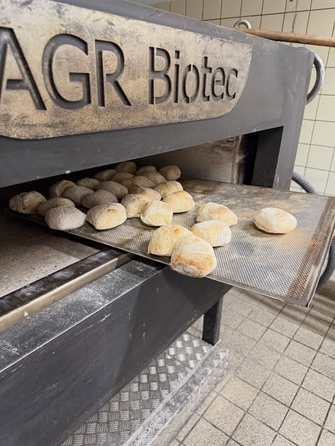AGR Biotec Holzbackofen beim Ausladen frischer Brötchen